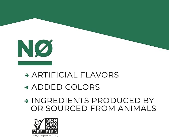 Evolve Plant Based Protein Shake, Café Mocha, 20g Vegan Protein, Dairy Free - Field & Grace