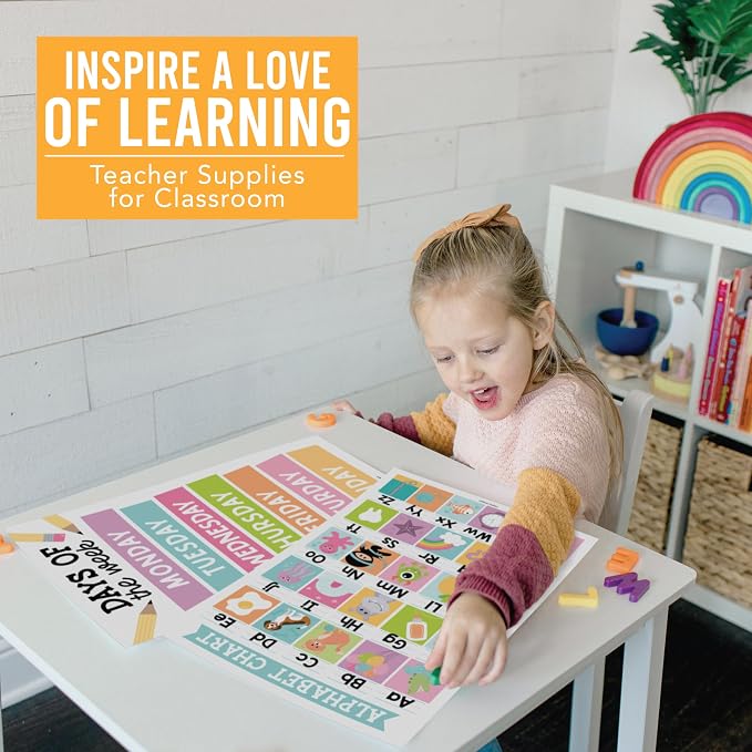 Hadley Designs 16 Educational Posters - Image 9