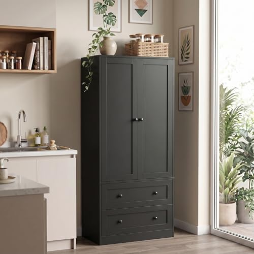 DIYART 64.2" Tall Black Kitchen Pantry, Storage Cabinet with Doors and