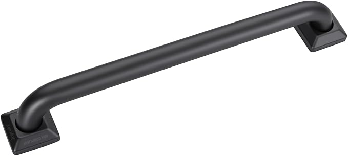 joyrain 500lb Capacity Stainless Steel Grab Bar by Unknown