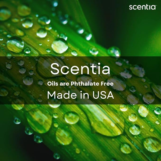 Scentia Pine Frost Essential Oil – 120ml Christmas Diffuser Oil | Crisp Winter - Image 5