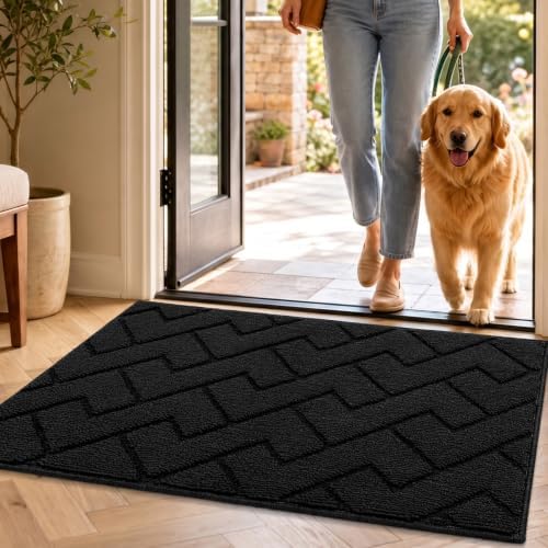 hicorfe Indoor Doormat,Welcome Door Mat TPR Backing Non Slip Mats