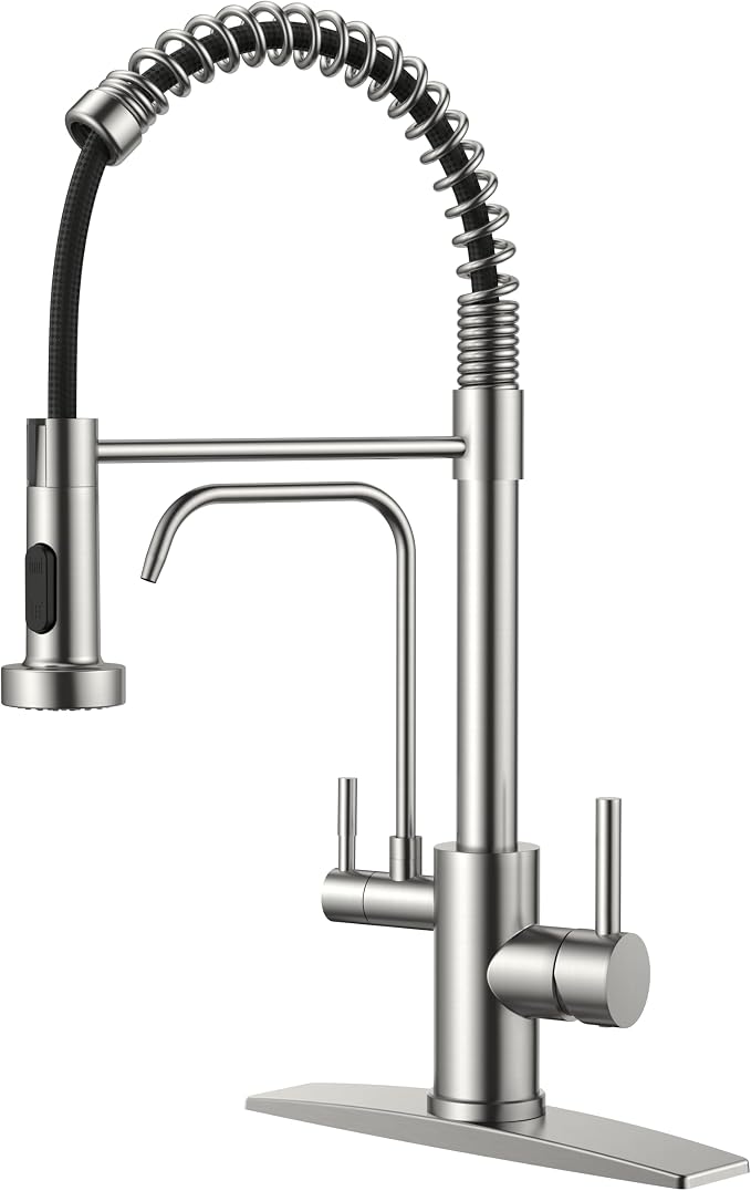 FORIOUS Kitchen Faucet with Purfied Water Filter, 2 in 1 Commercial Stainless by FORIOUS
