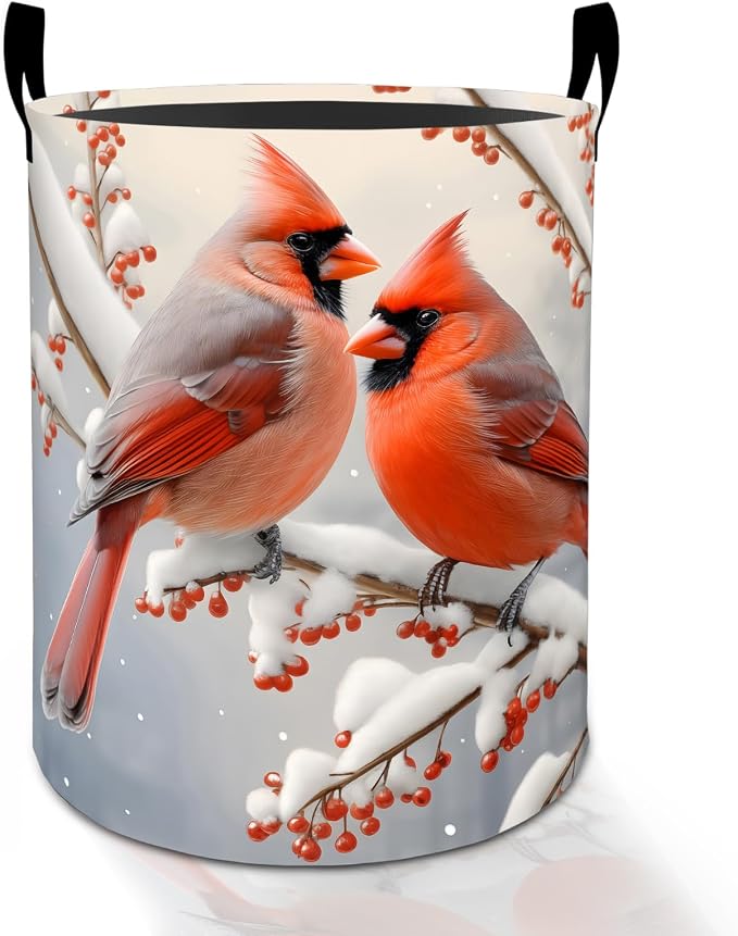 Cardinal Laundry Basket Hamper for Boys Girls Kids Adults, Foldable Waterproof by Turamurra