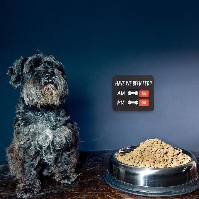 Dog Feeding Reminder - Field & Grace