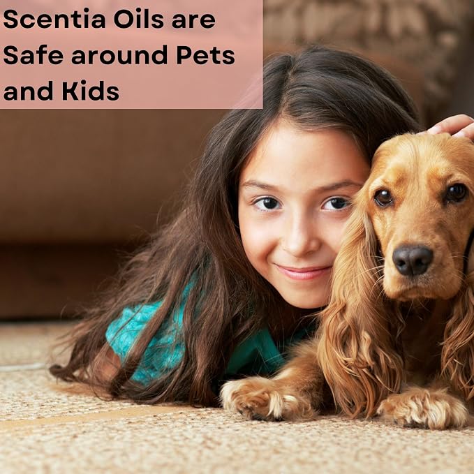 Scentia Pine Frost Essential Oil – 120ml Christmas Diffuser Oil | Crisp Winter - Image 6